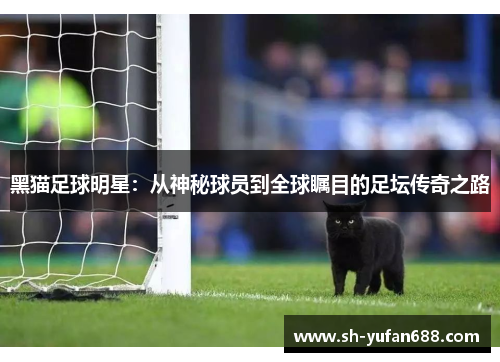 黑猫足球明星：从神秘球员到全球瞩目的足坛传奇之路