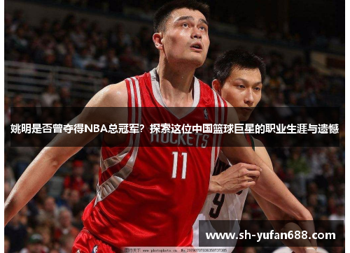 姚明是否曾夺得NBA总冠军？探索这位中国篮球巨星的职业生涯与遗憾