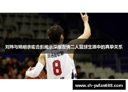 刘炜与姚明亲密合影揭示深厚友情二人篮球生涯中的真挚关系