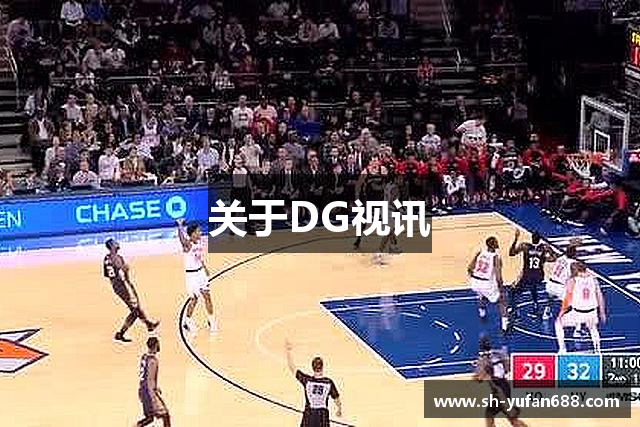 关于DG视讯